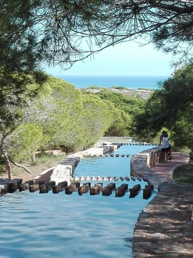 Ferienwohnung Maximo La Mata Torre La Mata Exterior foto